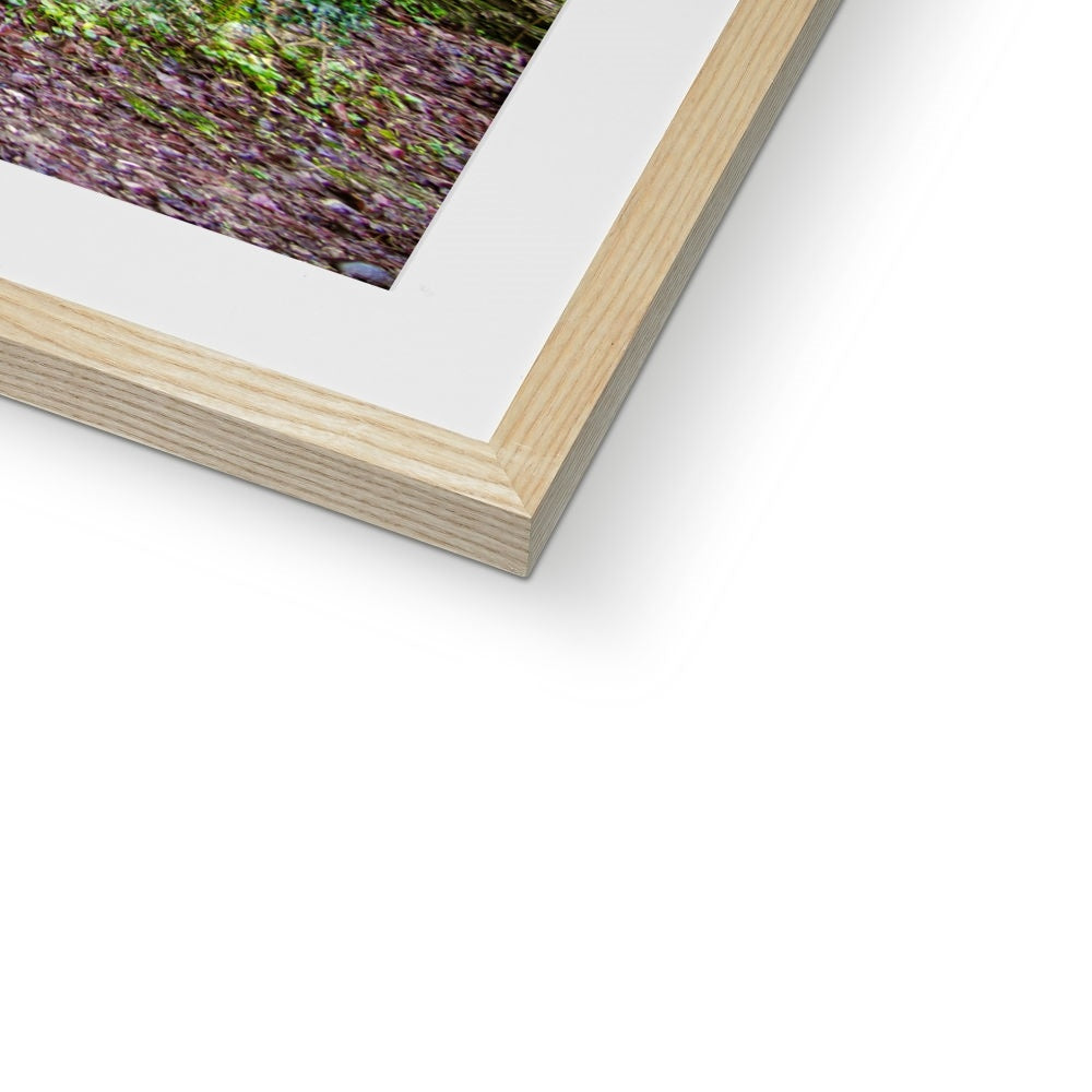 Woodwell Dawn Framed & Mounted Print
