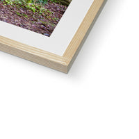 Woodwell Dawn Framed & Mounted Print