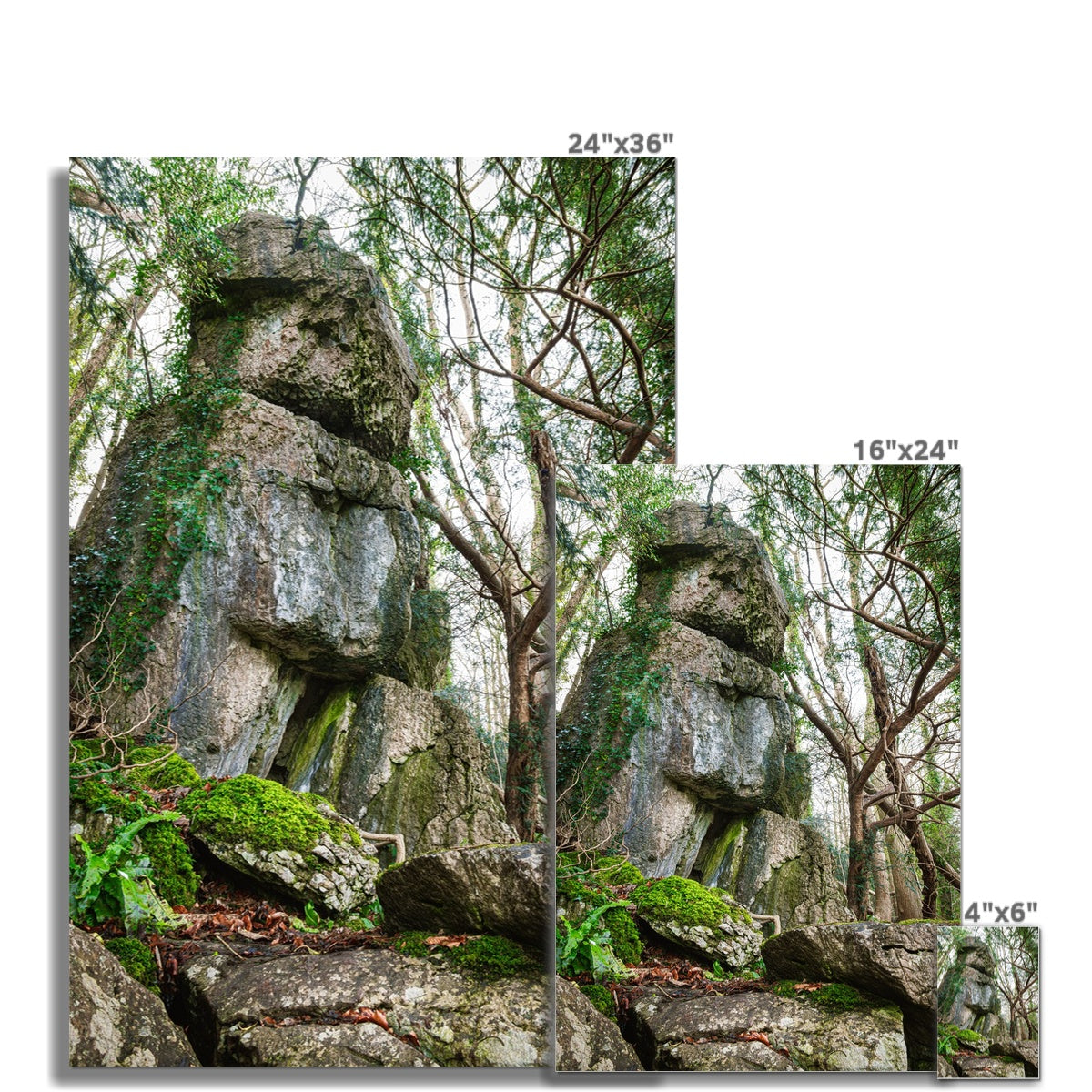 Rock Guardian Hahnemühle Photo Rag Print