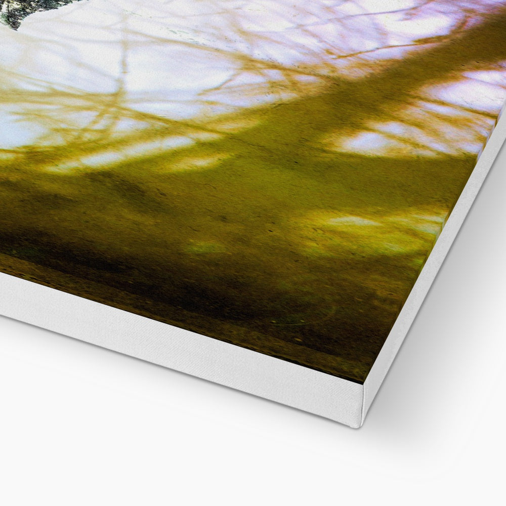 Woodland Crow Canvas