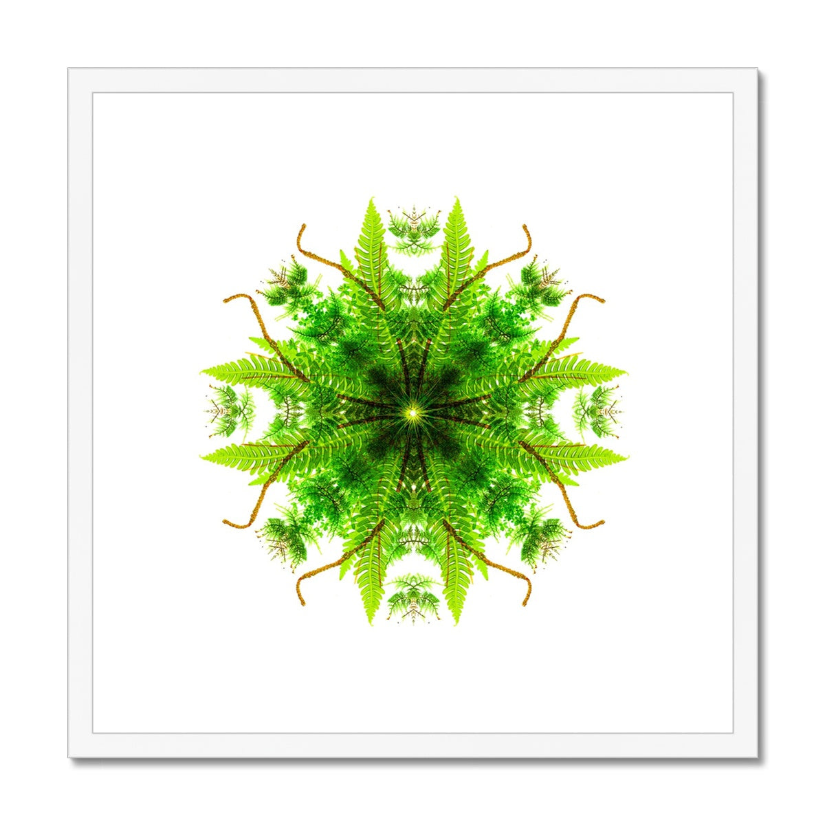Heart of Nature Framed & Mounted Print