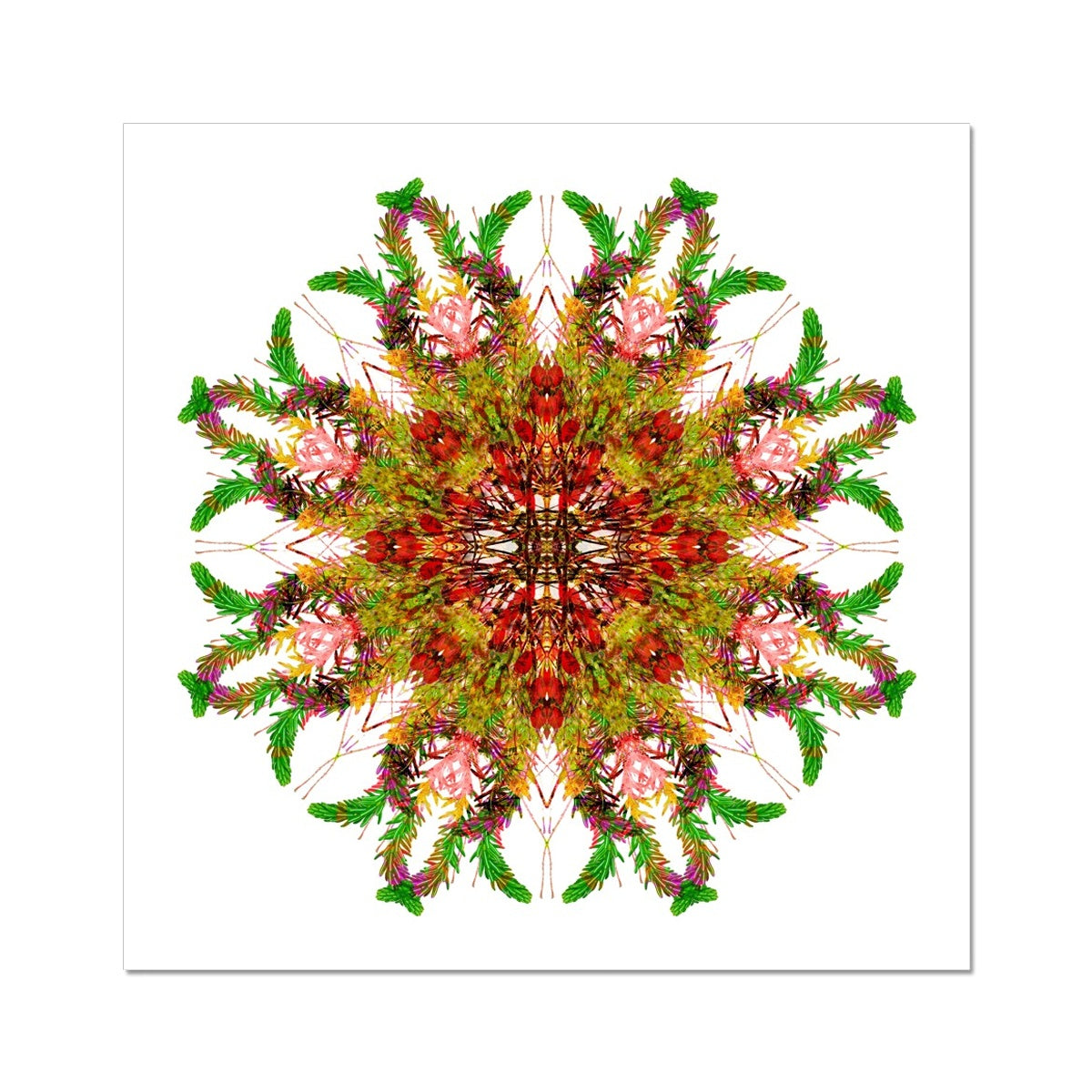 Bounty Mandala Wall Art Poster