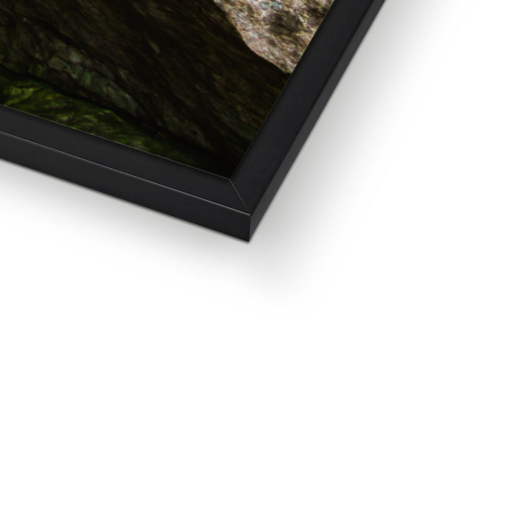 Rock Guardian Budget Framed Poster