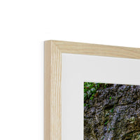 Woodwell basin Framed & Mounted Print