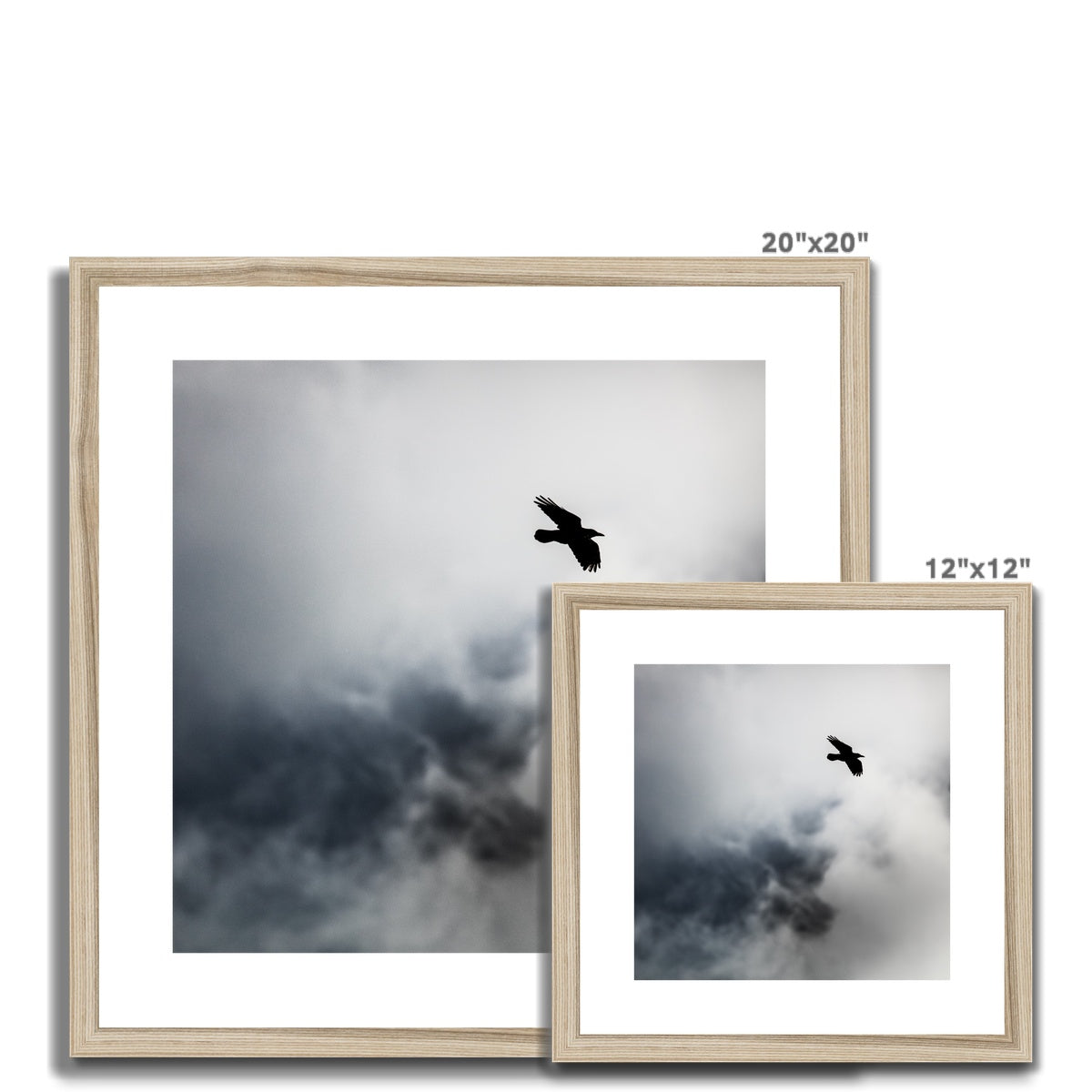 Storm Raven 2 Framed & Mounted Print