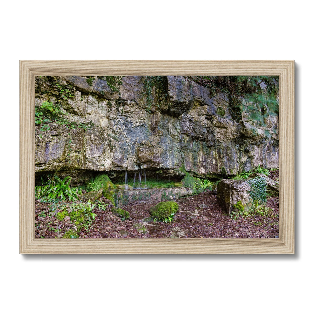 Woodwell Dawn Framed Print