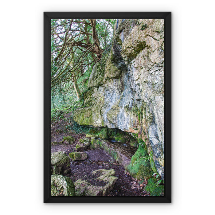 Yew guardian Framed Canvas