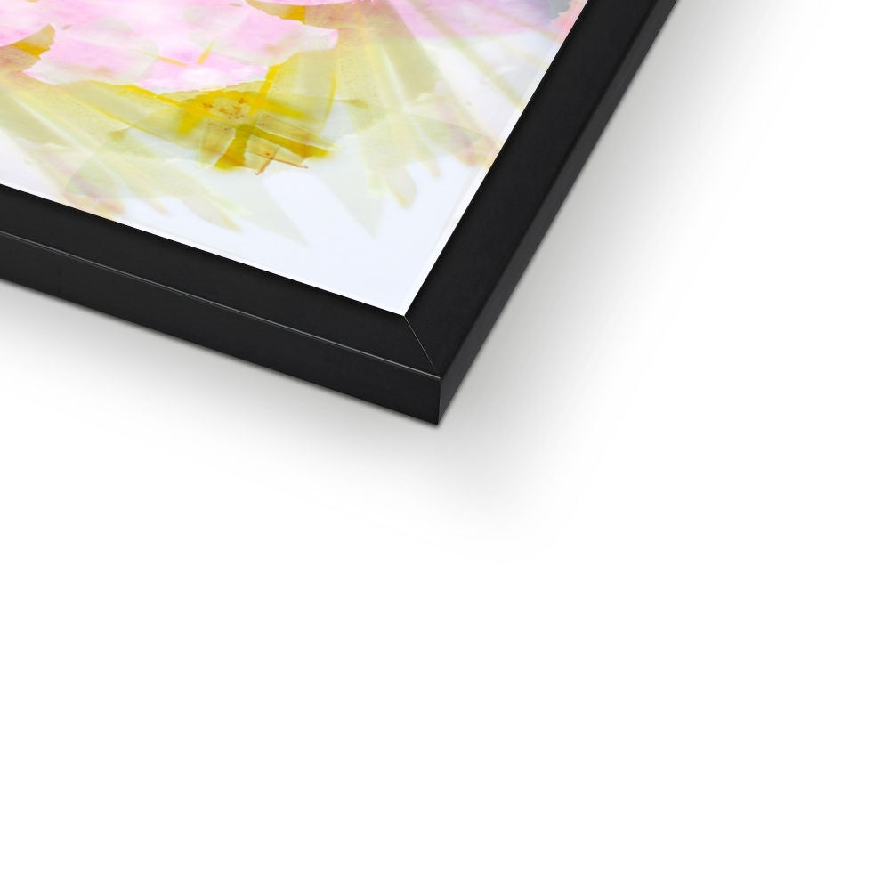 Rescue Remedy Budget Framed Poster