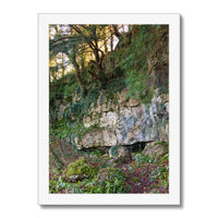 Woodwell Mystery Framed Print