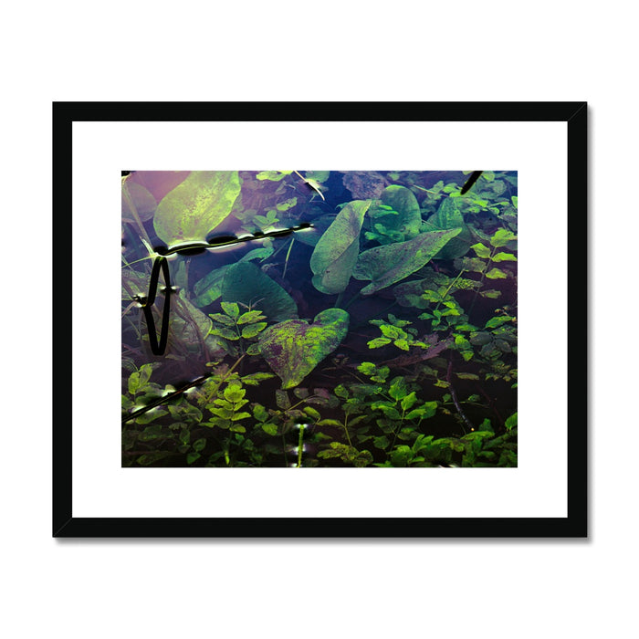 Sacred Pool Framed & Mounted Print
