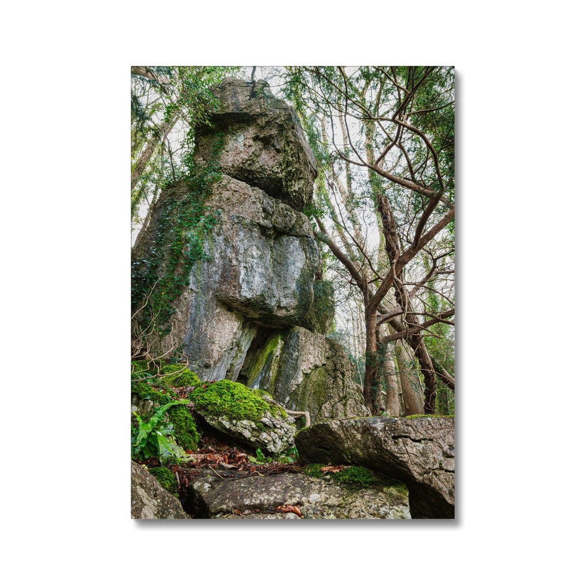 Rock Guardian Canvas