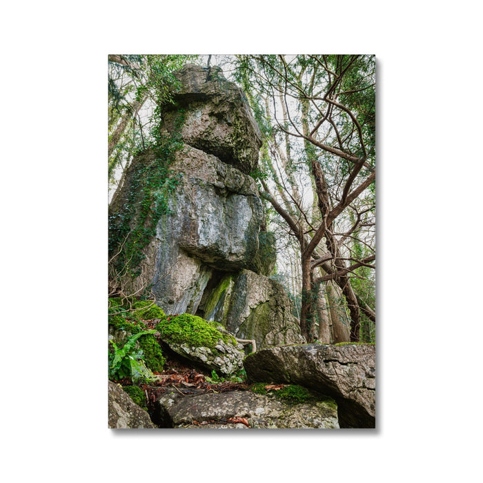 Rock Guardian Canvas
