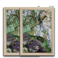 Yew guardian Framed Print