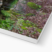Woodwell Dawn Canvas