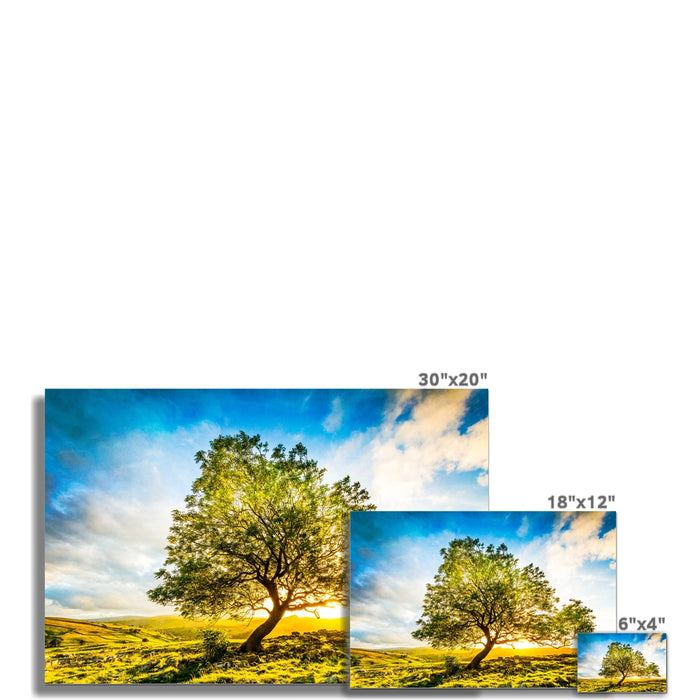 The Winskill Ash Wall Art Poster