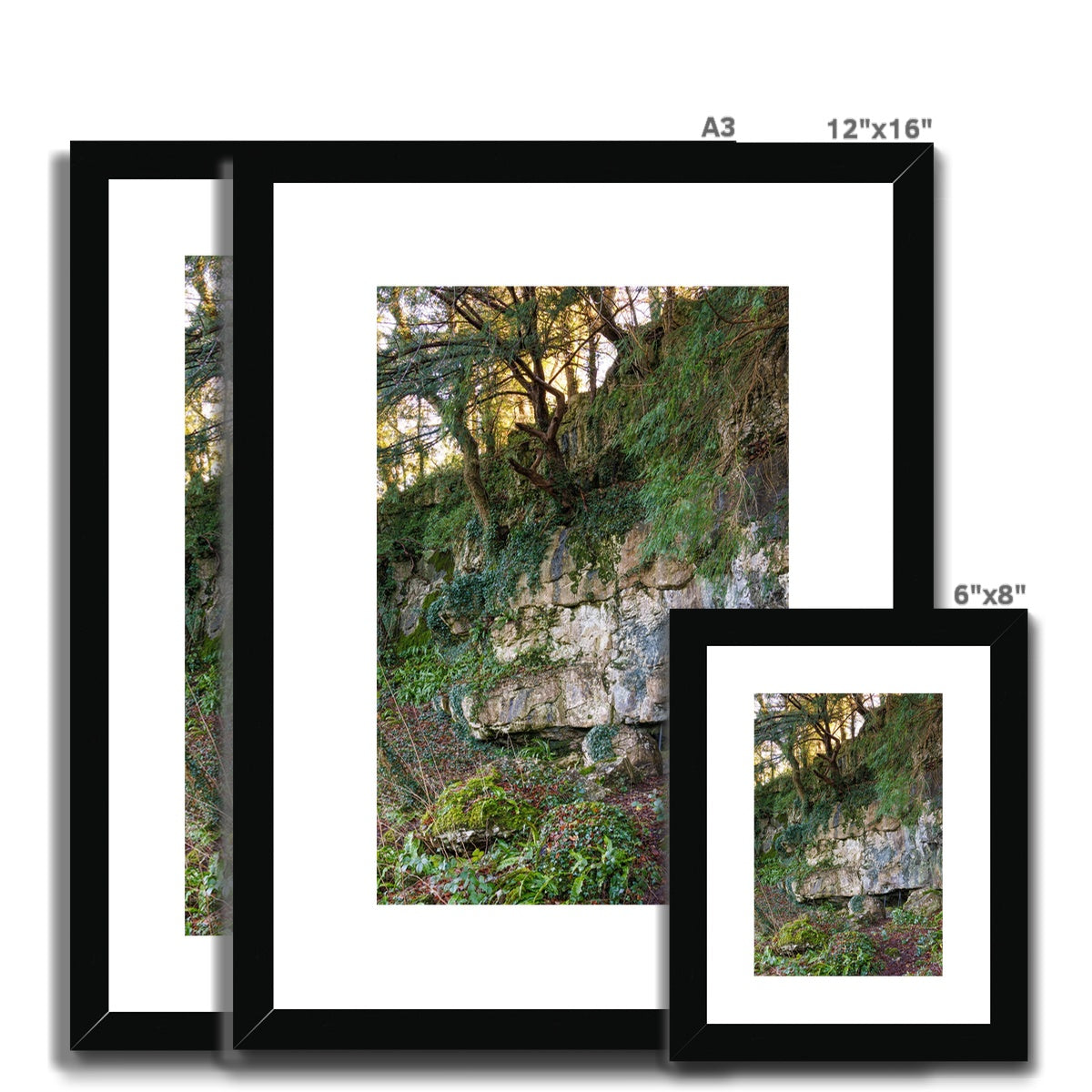 Woodwell Mystery Framed & Mounted Print