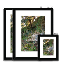 Woodwell Mystery Framed & Mounted Print