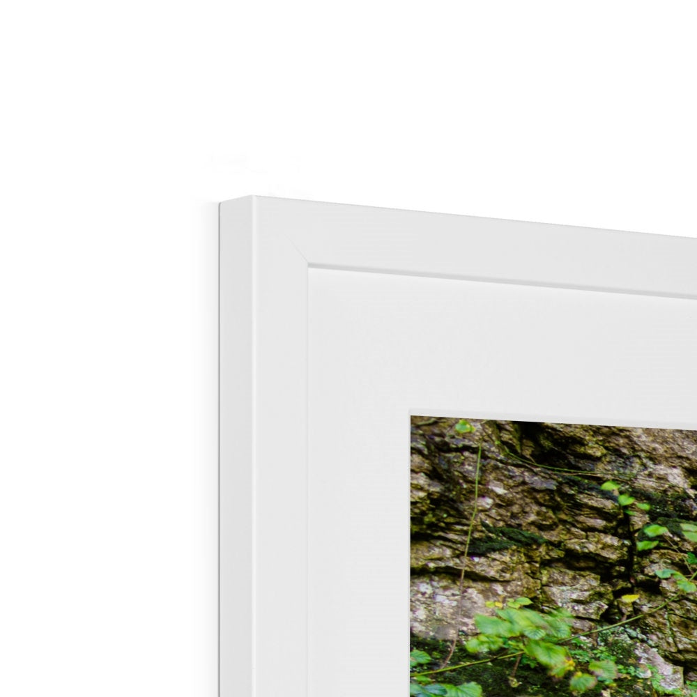 Woodwell Dawn Framed & Mounted Print