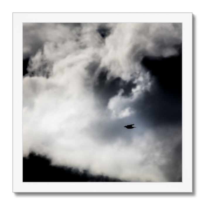 Storm Raven 1 Framed Print
