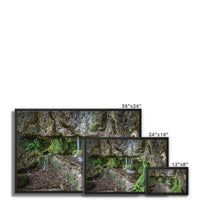 Woodwell basin Framed Canvas