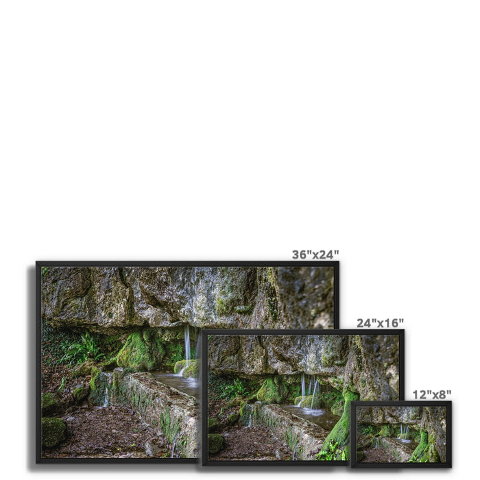 Woodwell basin Framed Canvas