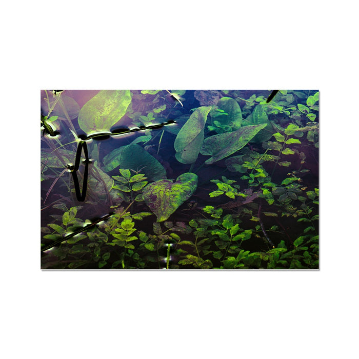 Sacred Pool Wall Art Poster