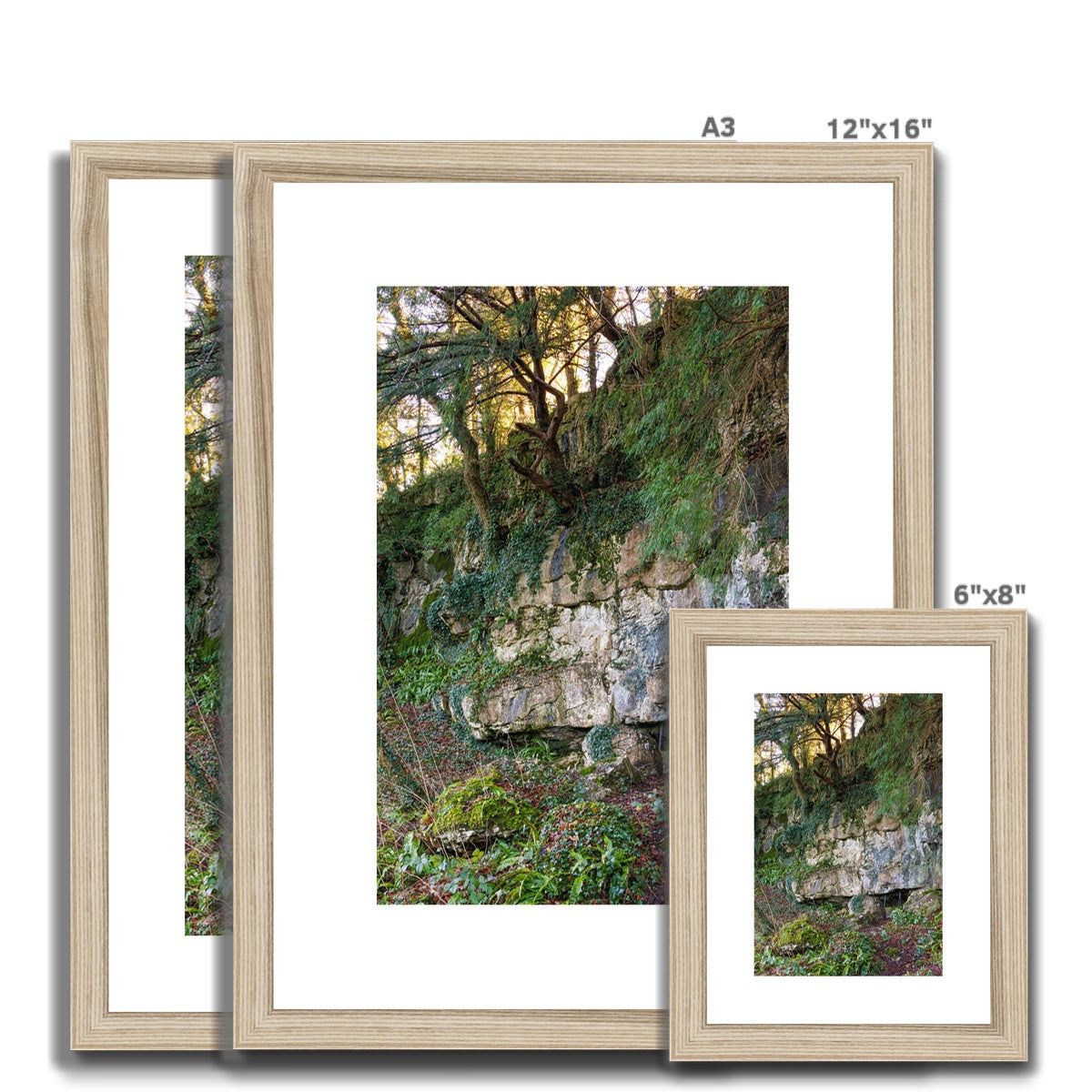 Woodwell Mystery Framed & Mounted Print