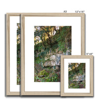 Woodwell Mystery Framed & Mounted Print