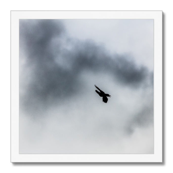 Storm Raven 3 Framed Print