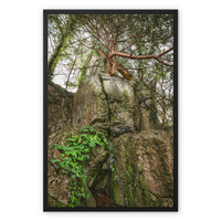 Boulder and Yew Framed Canvas