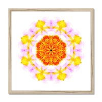Creativity Mandala Framed Print
