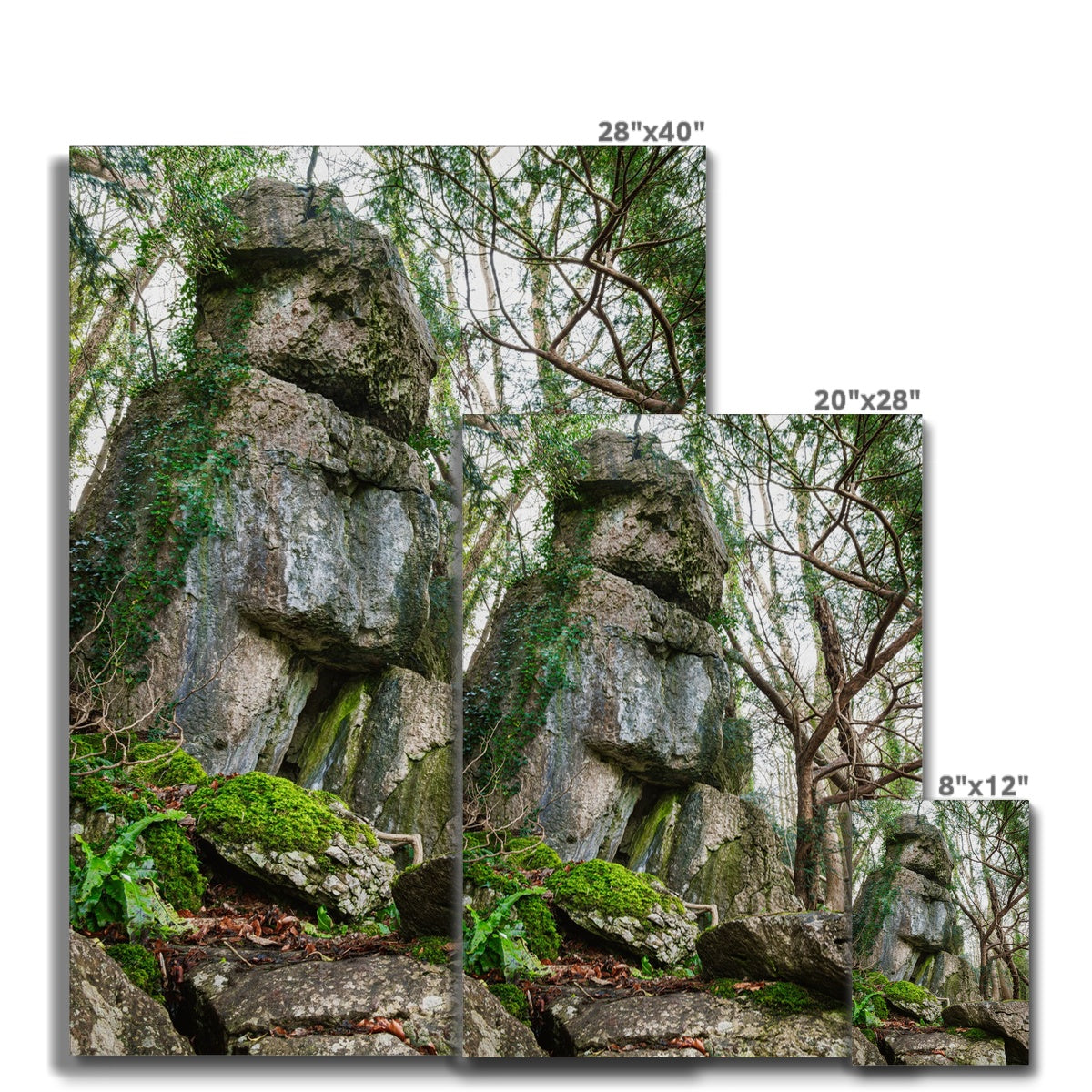 Rock Guardian Canvas
