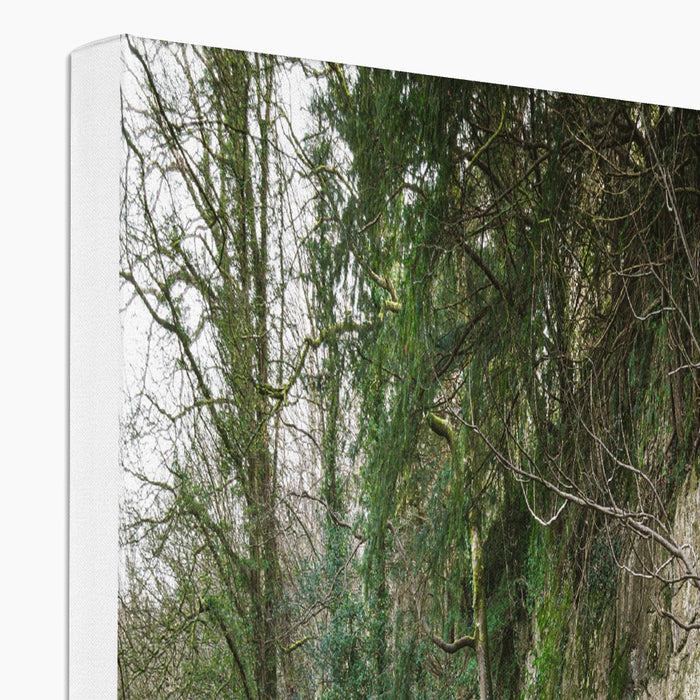Woodwell Secrets Canvas