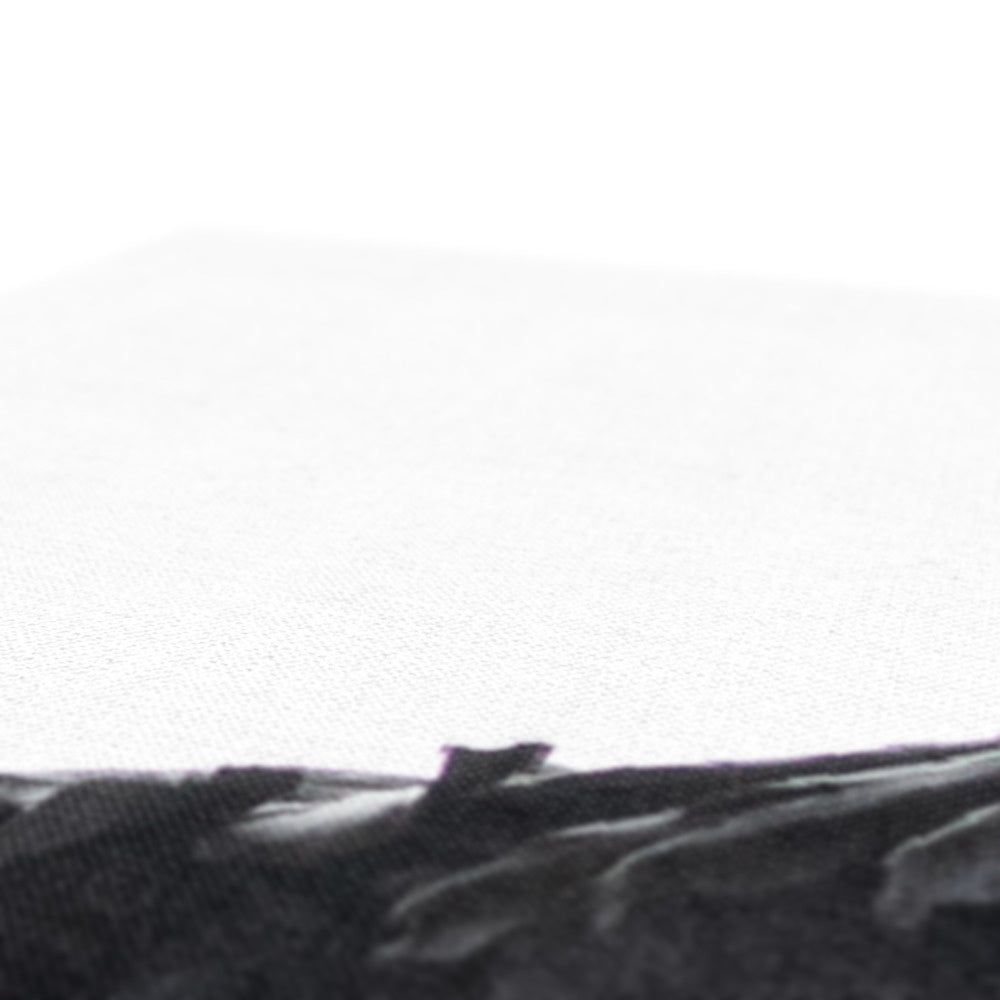 Raven 1 Canvas