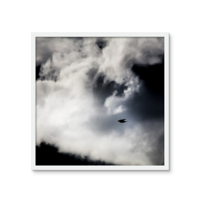Storm Raven 1 Framed Photo Tile