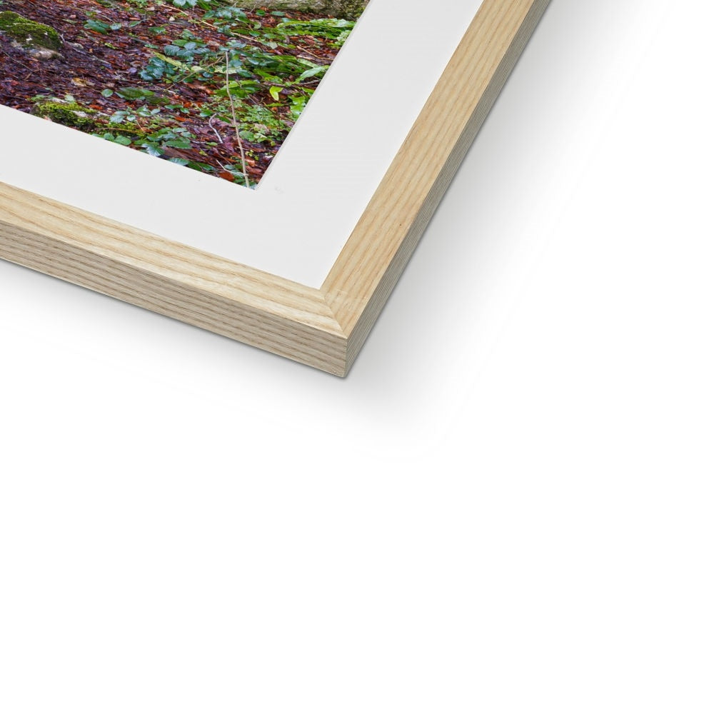 Woodwell Mystery Framed & Mounted Print