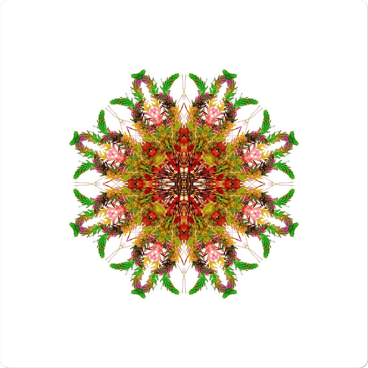 Bounty Mandala Sticker