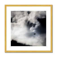 Storm Raven 1 Antique Framed & Mounted Print