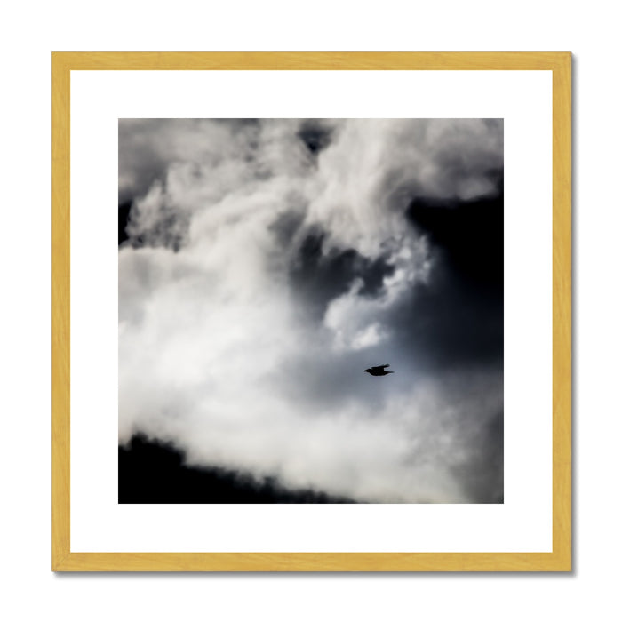 Storm Raven 1 Antique Framed & Mounted Print