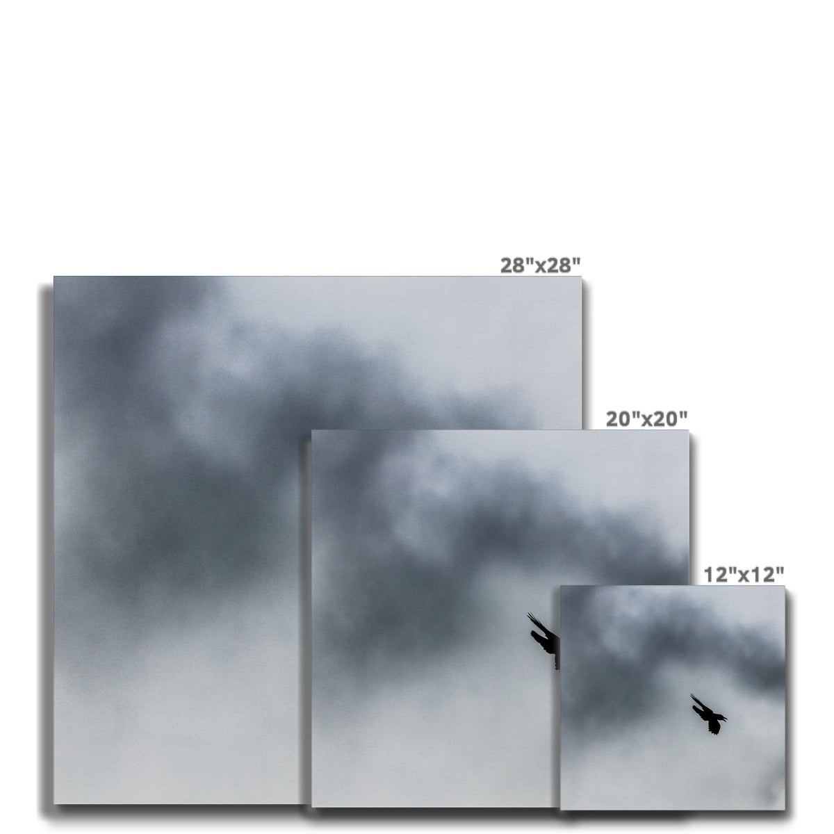 Storm Raven 3 Canvas