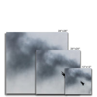 Storm Raven 3 Canvas