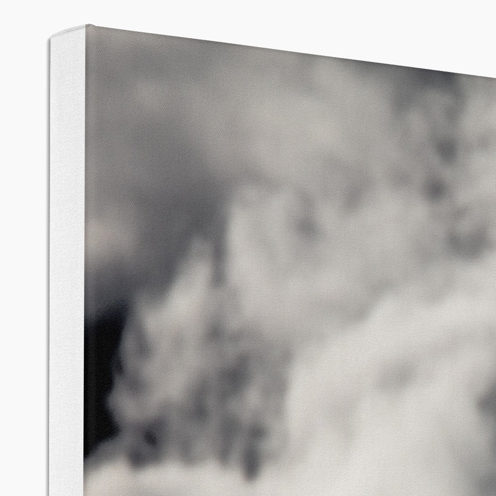 Storm Raven 1 Canvas