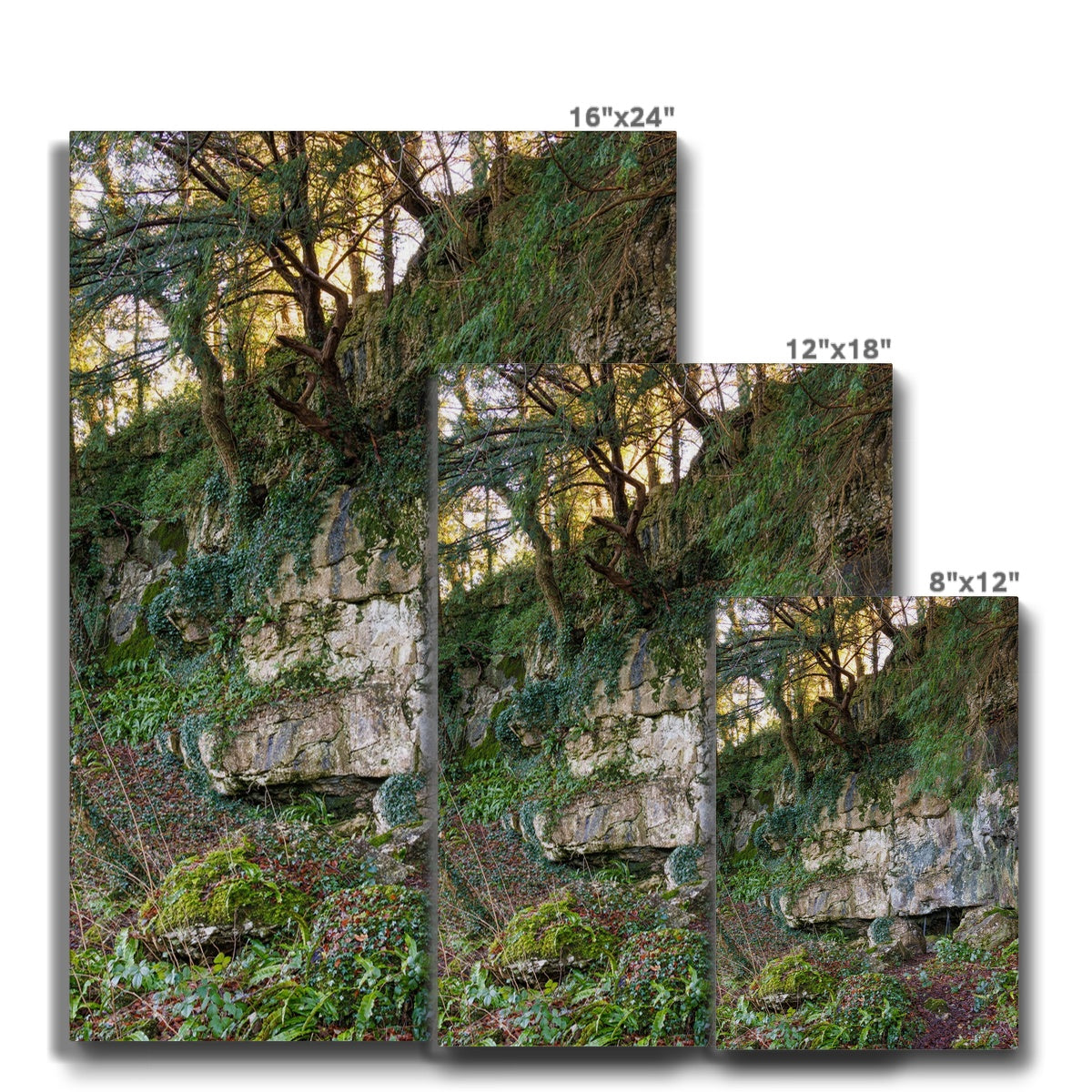 Woodwell Mystery Canvas