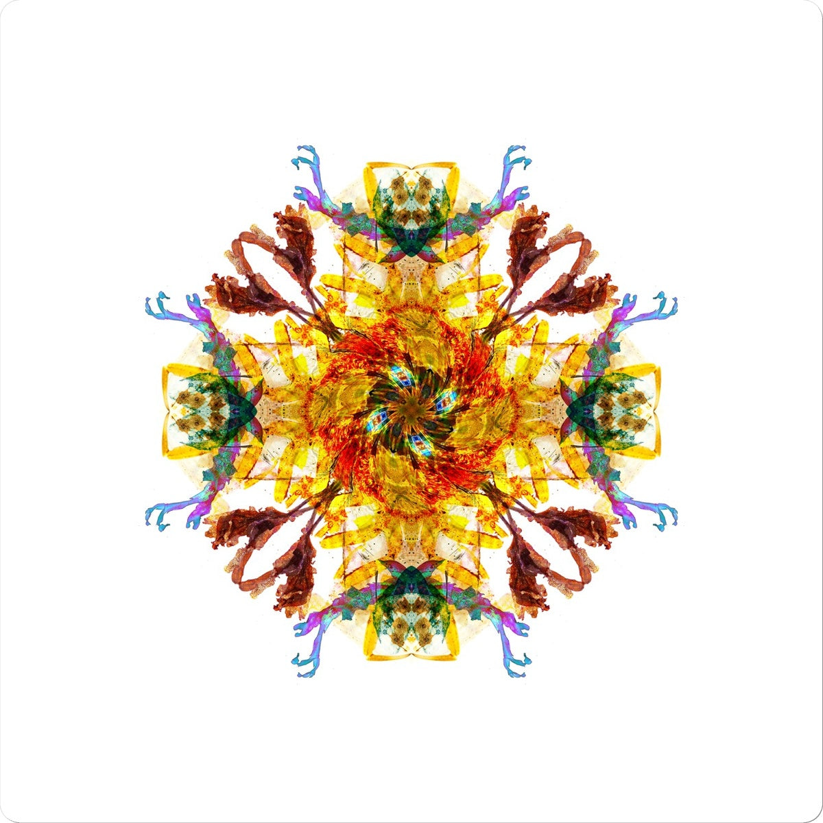 Ancient Wisdom Mandala Sticker