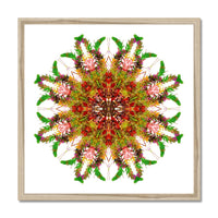 Bounty Mandala Budget Framed Poster