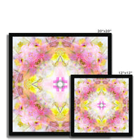 Rescue Remedy Framed Print