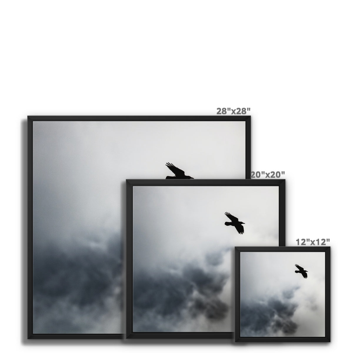 Storm Raven 2 Framed Canvas
