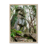 Rock Guardian Framed Print