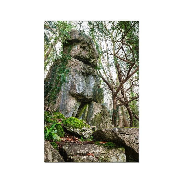 Rock Guardian Hahnemühle Photo Rag Print