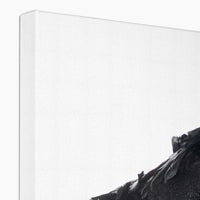Raven 1 Canvas